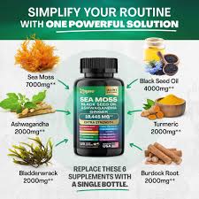Combo Shilajit & Sea Moss